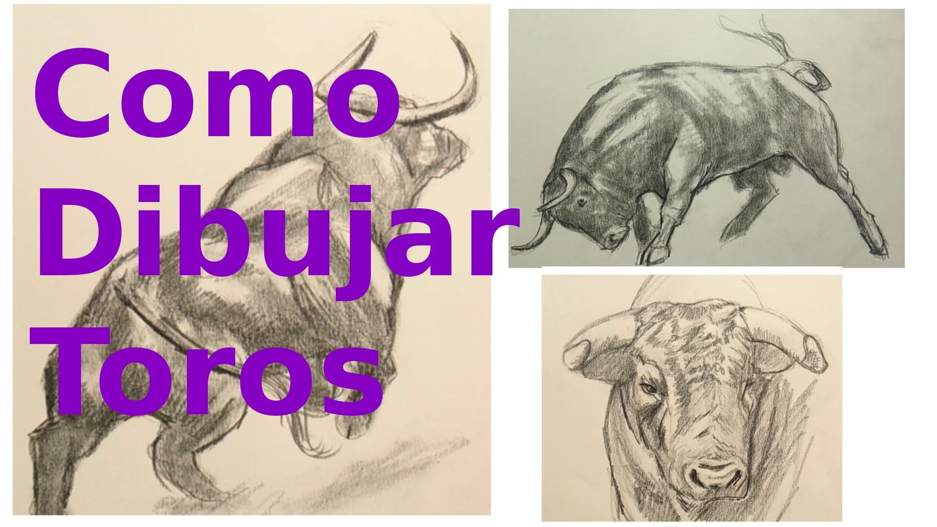 Cómo Dibujar un Toro: Técnica de Dibujo de Animales
