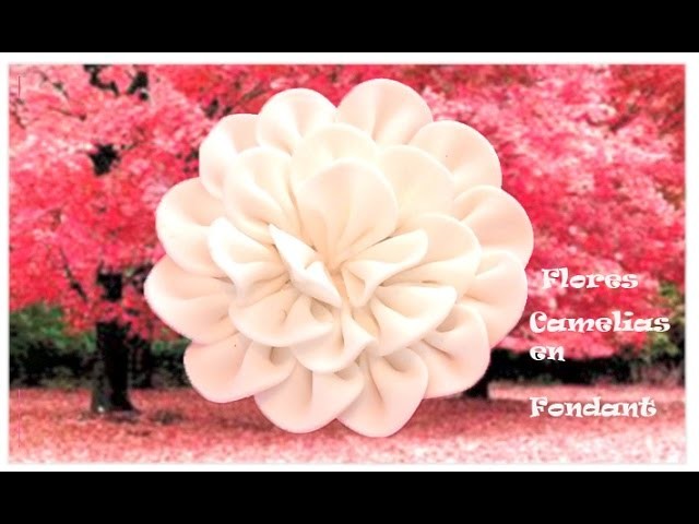 DIY Flores camelias en fondant DIY fondant flowers camellias