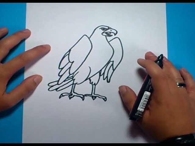 Como dibujar un aguila paso a paso 2 | How to draw an eagle 2