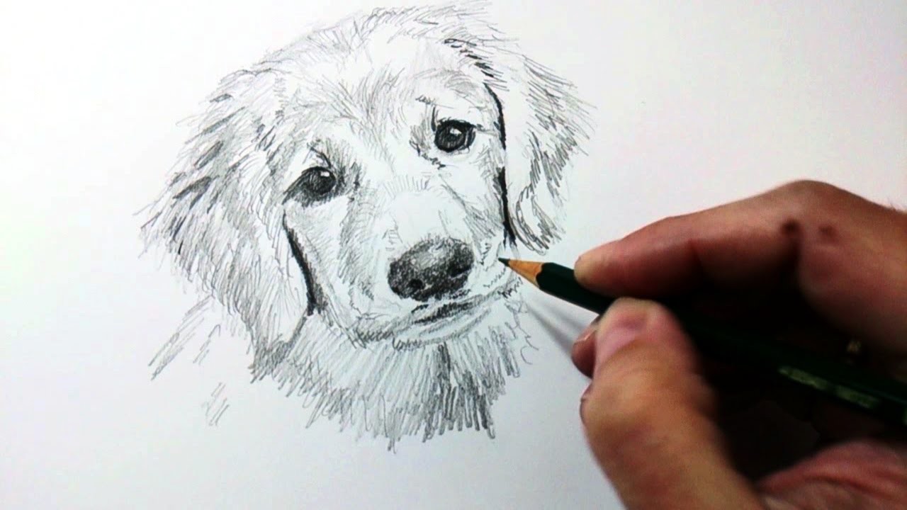 Técnicas y Tips de Dibujo con Lápiz de Grafito y Cómo Dibujar un Perro a Lápiz