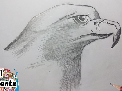 Como Dibujar un Aguila paso a paso [El Dibujante]