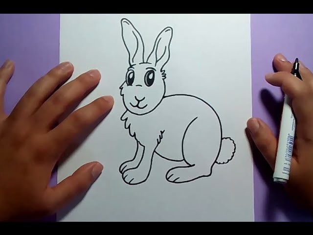 Como dibujar un conejo paso a paso 6 | How to draw a rabbit 6