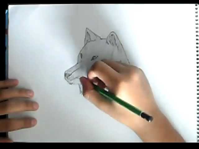 Como Dibujar un Lobo-Paso a Paso!!