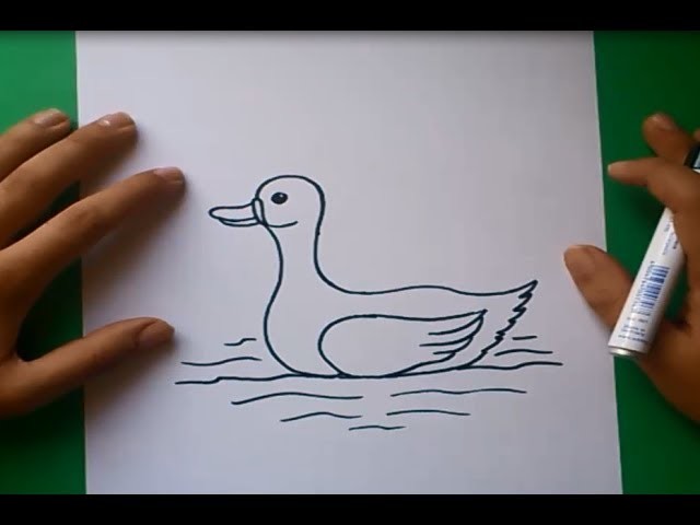 Como dibujar un pato paso a paso 2 | How to draw a duck 2