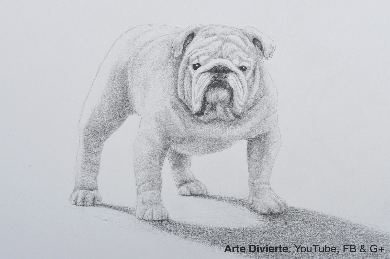 Cómo dibujar un perro bulldog a lápiz