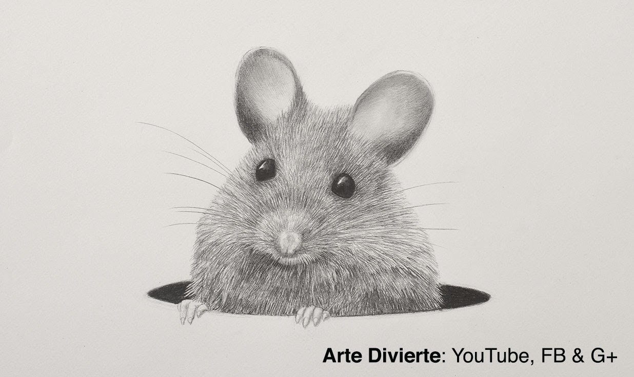 Cómo dibujar un ratón a lápiz - Pelo animal