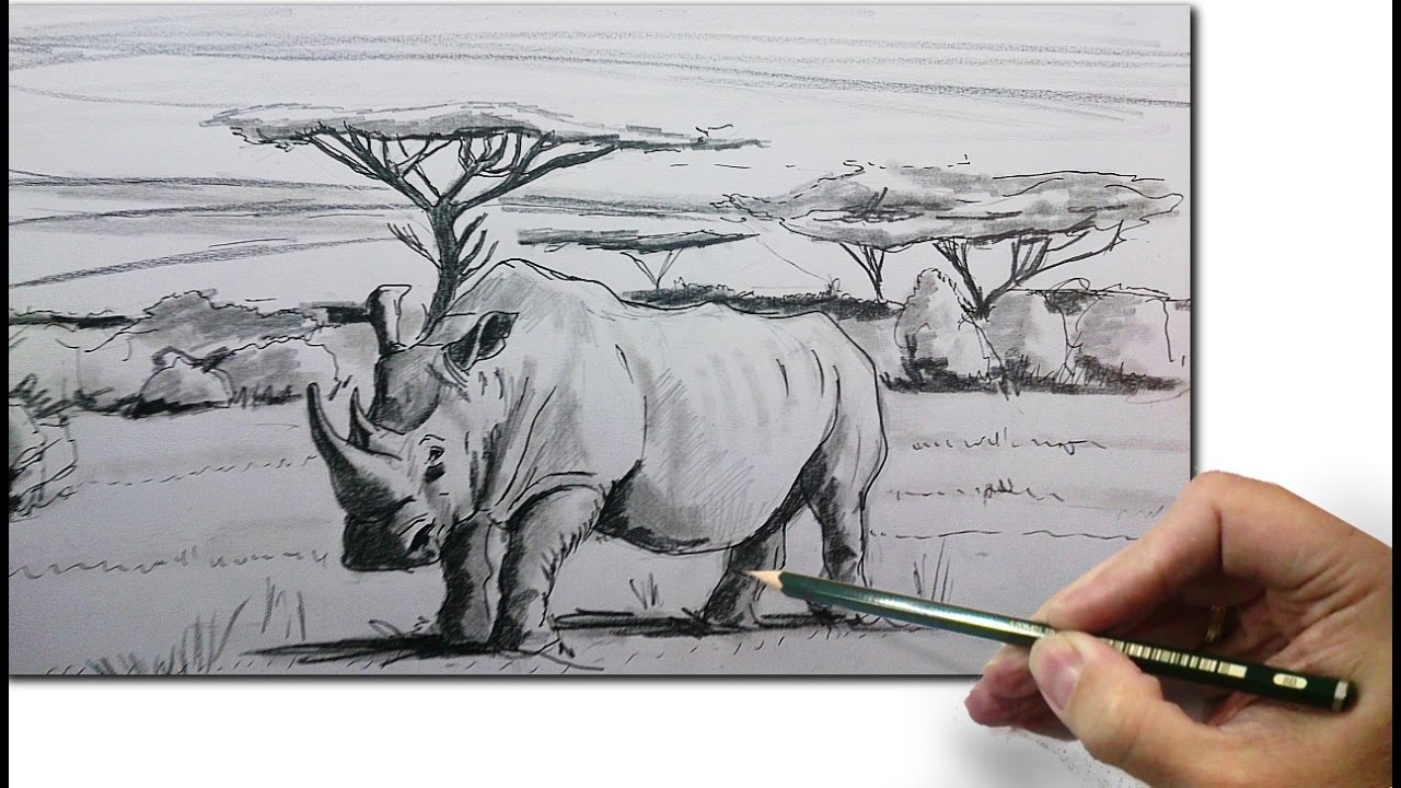Como Dibujar un Rinoceronte: Como Dibujar Animales Paso a Paso a Lapiz