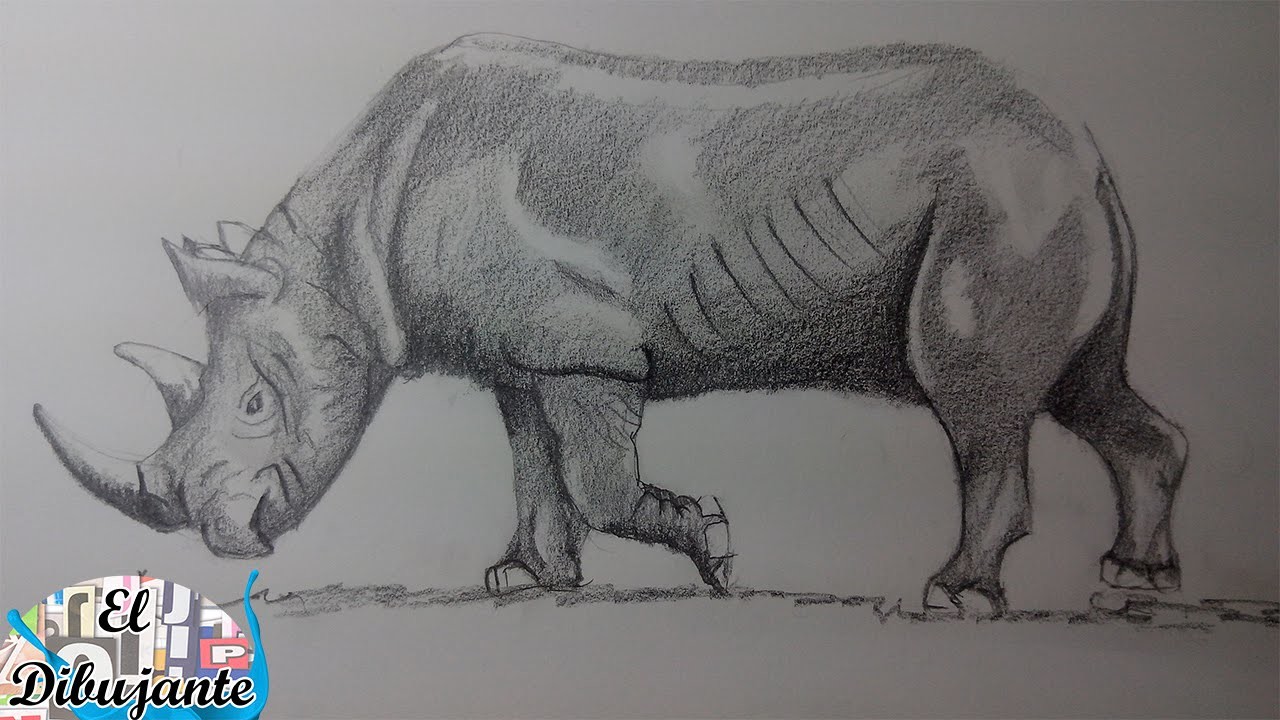 Como Dibujar un Rinoceronte paso a paso [El Dibujante]