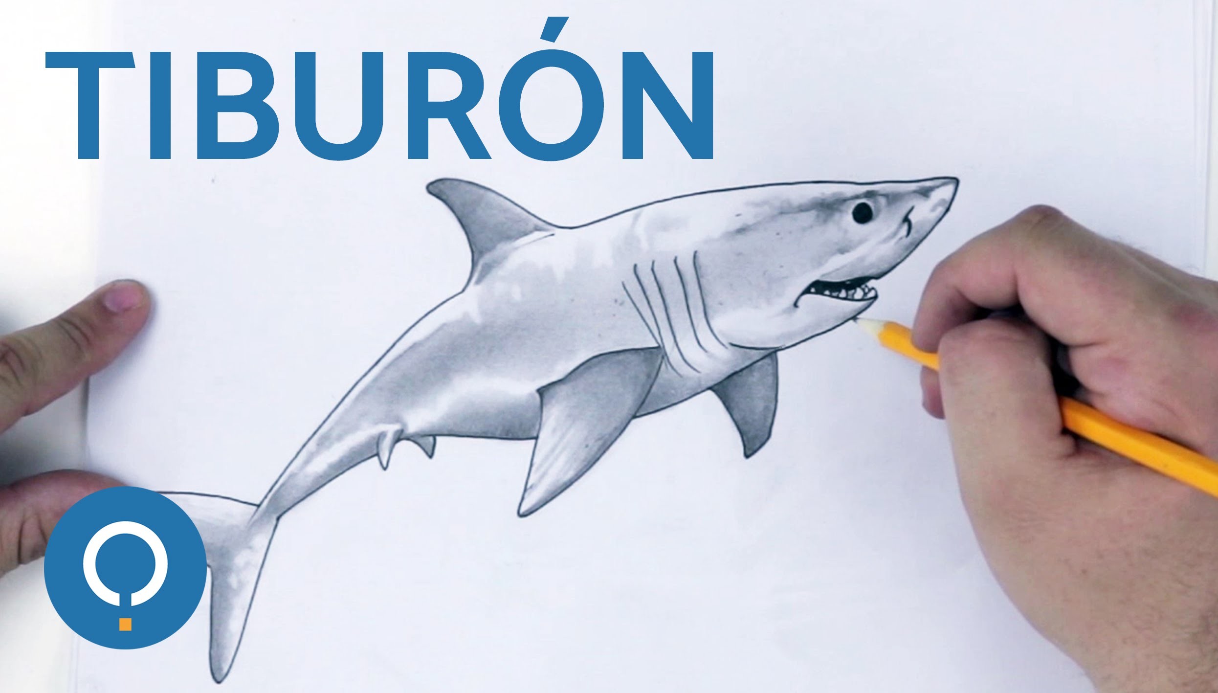 Cómo dibujar un Tiburón - Speed Drawing