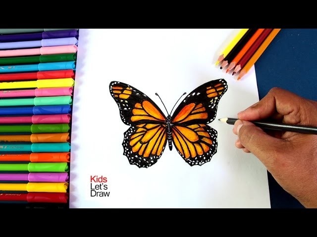 Cómo dibujar y pintar una Mariposa | How to draw and paint a Butterfly - 1.20