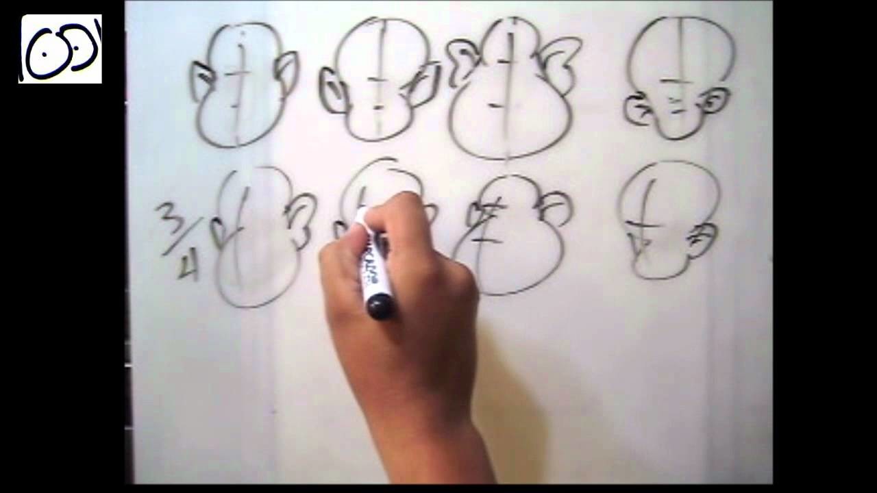 Dibujo Caricatura - dibujar cabeza de frente, 3.4, perfil ( por: Cartoonarte )