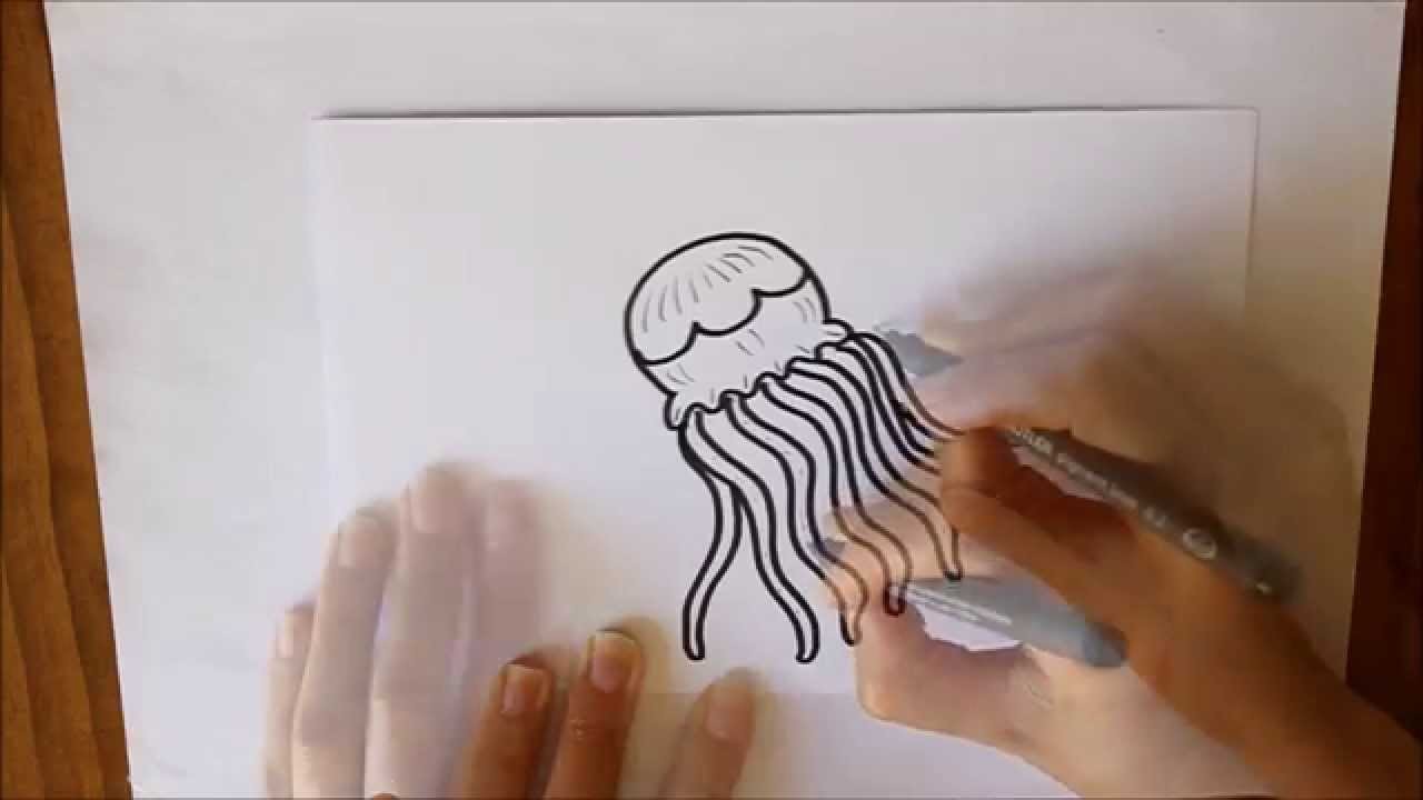 Cómo dibujar una Medusa Dibuja Conmigo Dibujos de Verano
