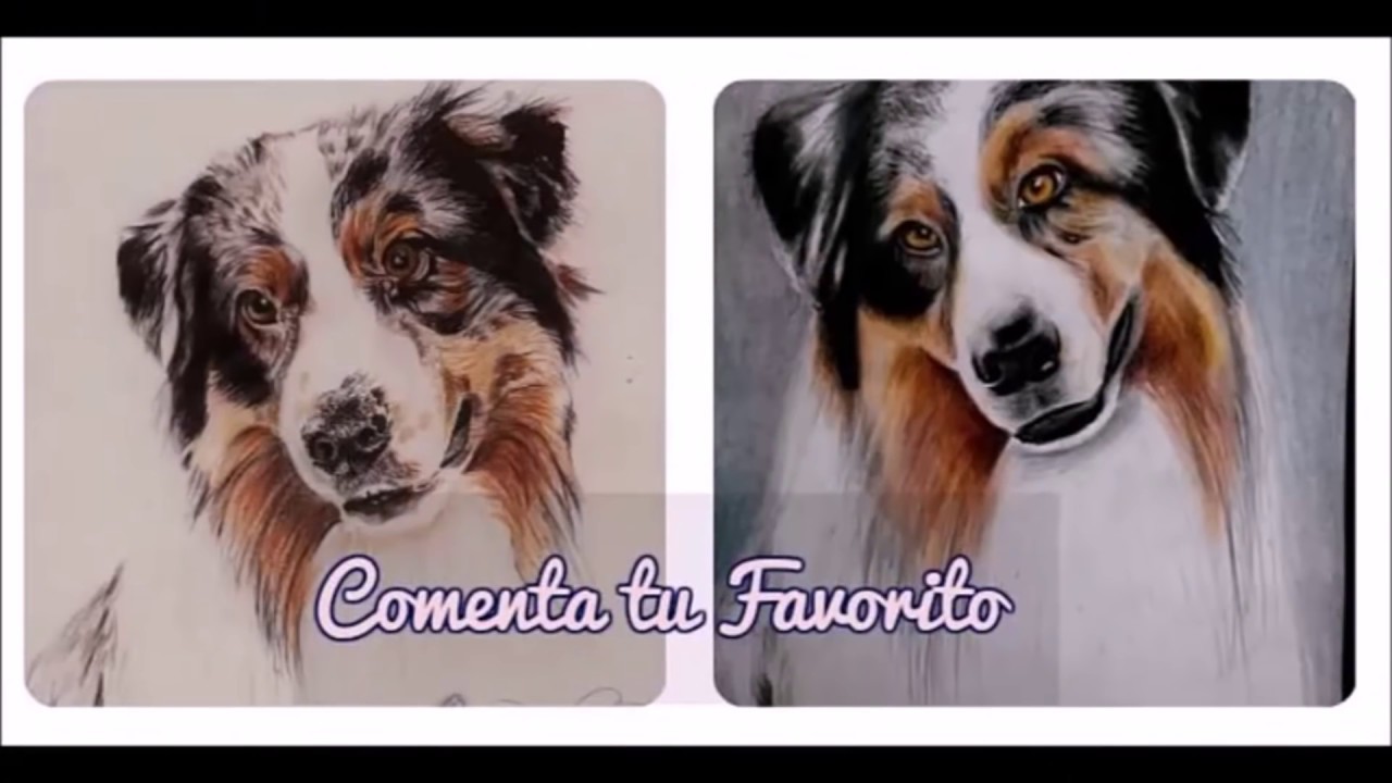 DUELO DE DIBUJANTES !! Art-Pit vs Amo dibujar . como dibujar un perro. Tutorial de dibujo
