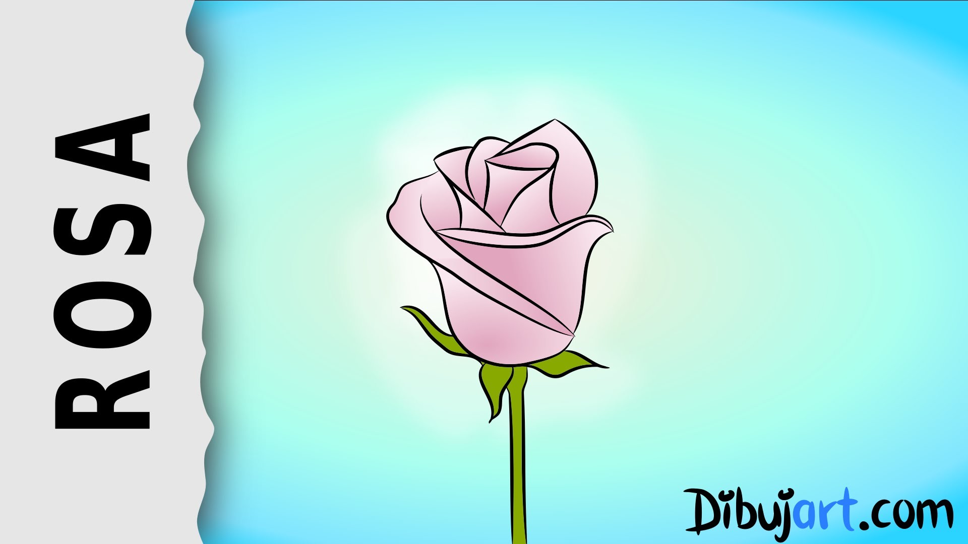 Cómo dibujar una Rosa #4 - Serie de dibujos de Rosas