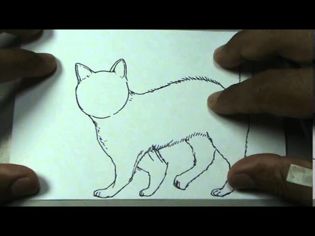 Dibujos de animales 3.8 - Cómo dibujar un gato-  cat drawing