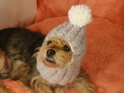 Gorro abrigador para perros crochet.cozy hats for dogs crochet