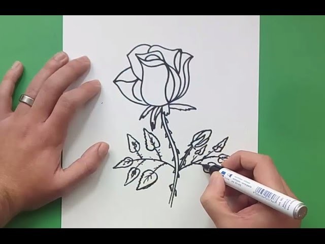 Como dibujar una rosa paso a paso 10 | How to draw a rose 10