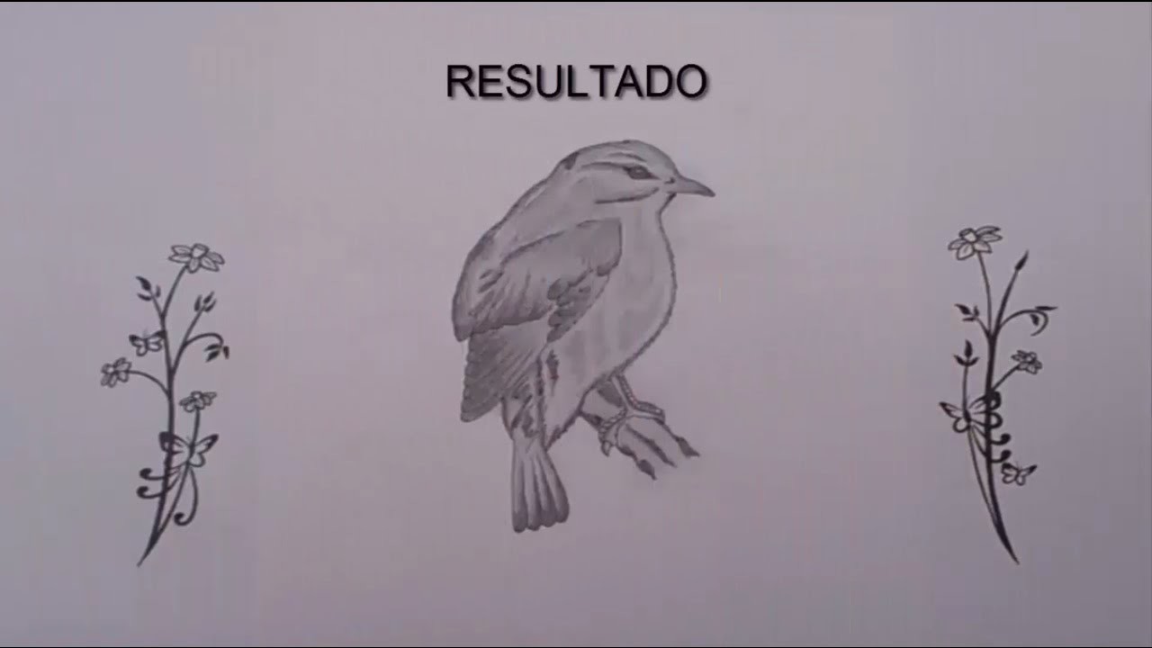 Como dibujar un pajaro | How to draw a bird