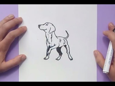 Como dibujar un perro paso a paso 33 | How to draw a dog 33