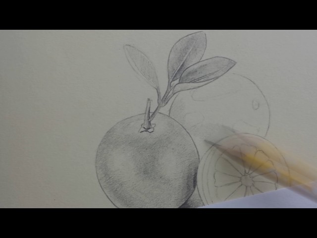 Como dibujar una naranja parte (2)