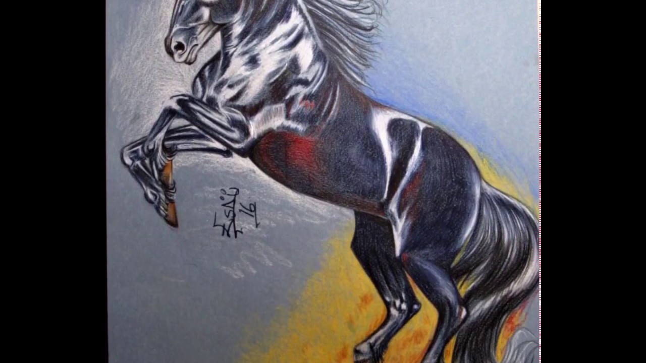 DIBUJO DE CABALLO. dibujando caballos a colores. DIBUJOS.