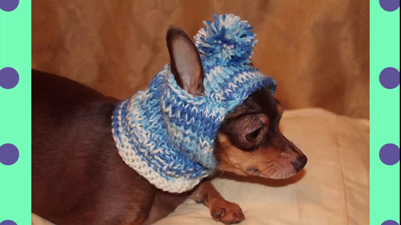 Suéteres a crochet para perritos
