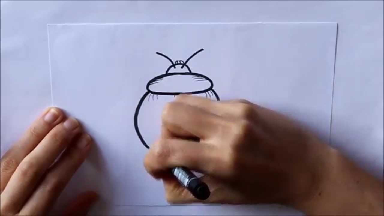 Cómo dibujar un Escarabajo Fácil Dibuja Conmigo Dibujos de Insectos