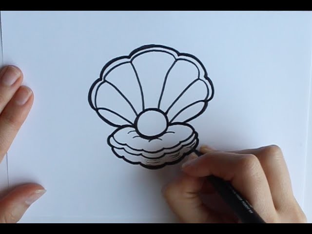 Cómo dibujar una Concha con Perla Dibuja Conmigo Dibujos de Mar