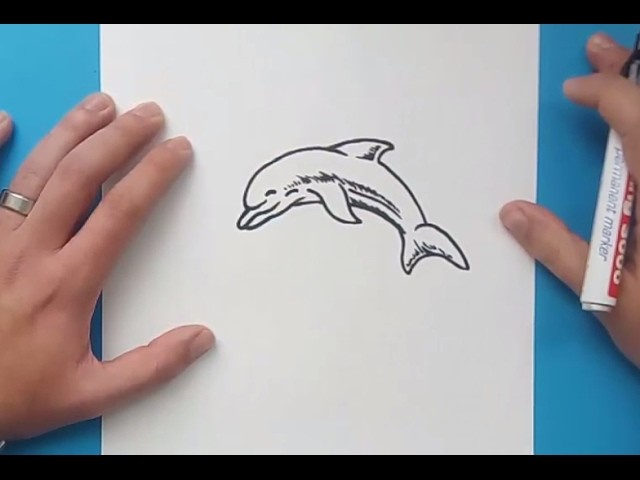 Como dibujar un delfin paso a paso 4 | How to draw a dolphin 4