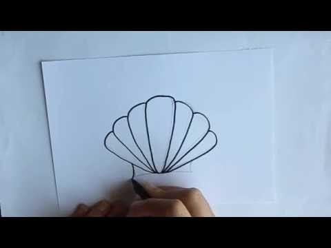 Cómo dibujar una Concha de Mar Dibuja Conmigo Dibujos de Verano