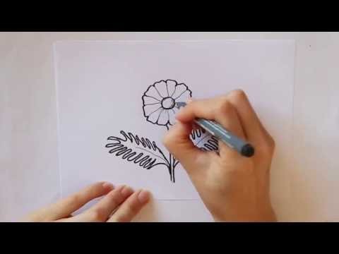 Cómo dibujar una Margarita Dibuja Conmigo dibujos de Flores