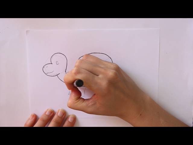 Cómo dibujar una Tortuga Dibuja Conmigo Dibujos de Animales