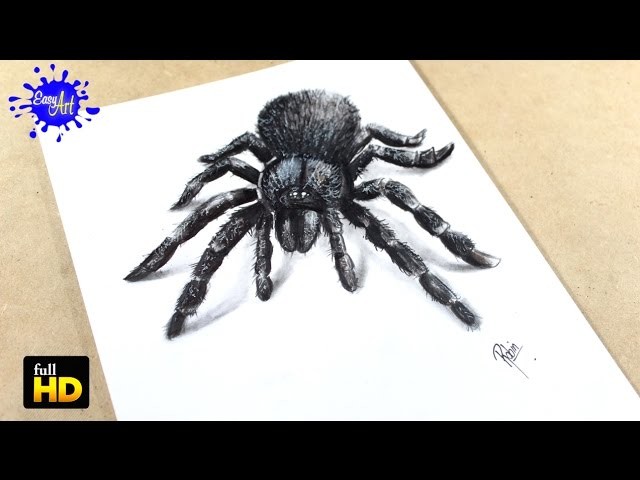 How to draw  Spider 3D. Como dibujar araña  3D