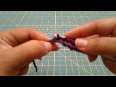 TUNECINO: PUNTADA DOBLE VISTA