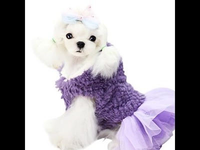 Como diseñar ropa para perros