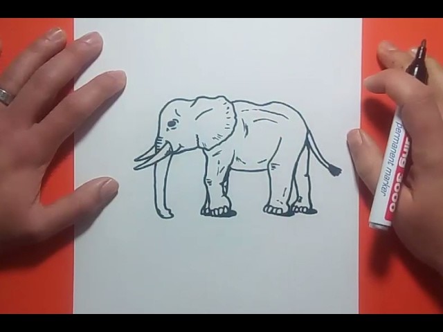 Como dibujar un elefante paso a paso 8 | How to draw an elephant 8