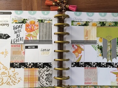 Plan with me March 6 Happy Planner. Garnet