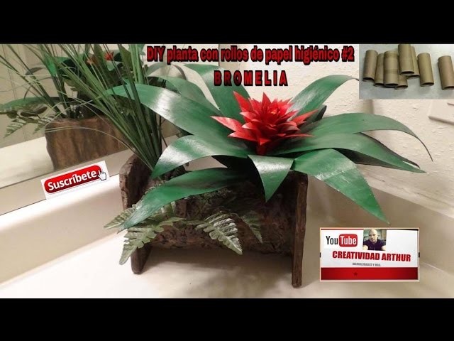 DIY PLANTA CON ROLLOS DE PAPEL HIGIENICO#2 BROMELIA