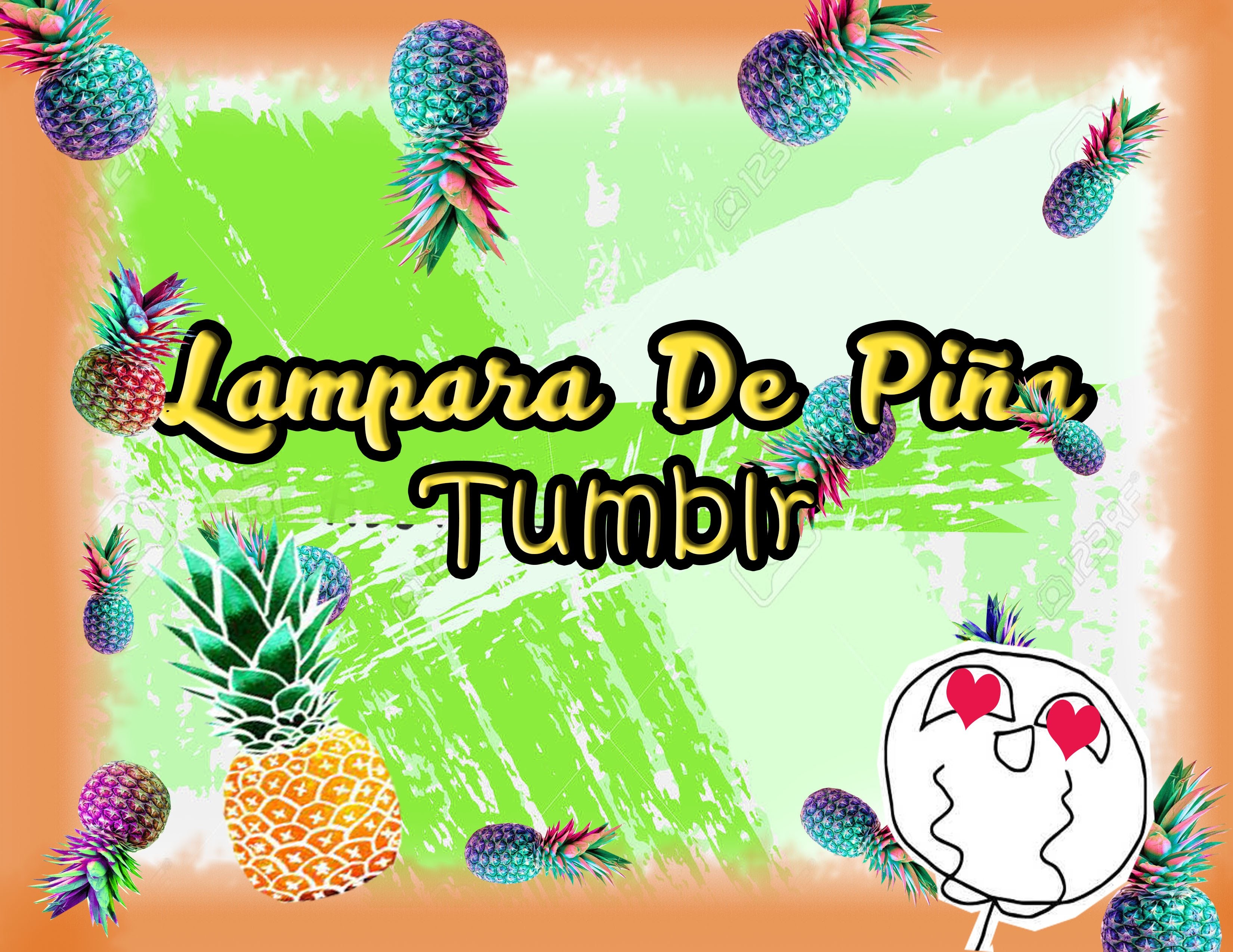 DIY Creando Con Elie - Tutorial - Lampara De Piña Tumblr