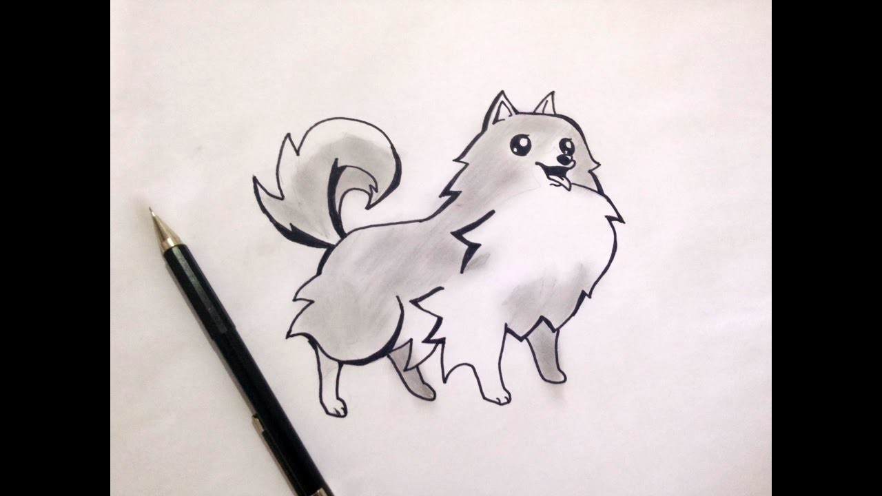 Como dibujar un perro  - how to draw dog