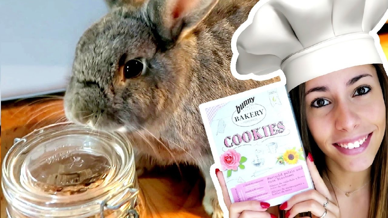 Galletitas caseras para conejos - DIY