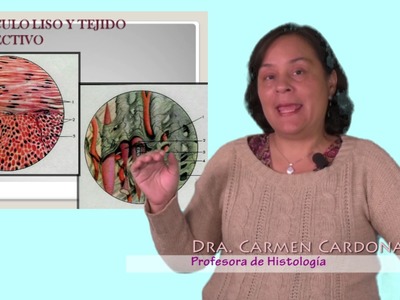 Dra. CARMEN CARDONA-GENERALIDADES DEL TEJIDO NERVIOSO
