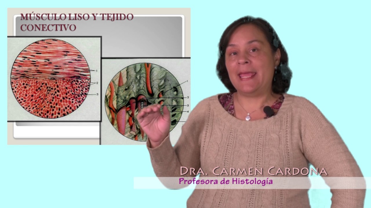 Dra. CARMEN CARDONA-GENERALIDADES DEL TEJIDO NERVIOSO