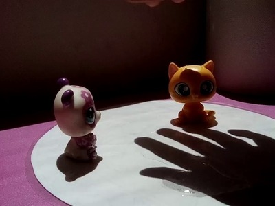 Pobre gato gordo y kawaii ????