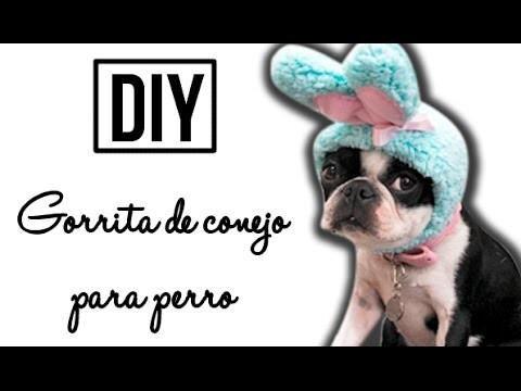 DIY | Gorrita de conejo | MASCOTAS