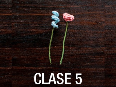 Taller de Naturaleza a Crochet y Macramé - Clase 5