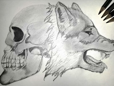 Como dibujar un lobo con un cráneo - How to draw a wolf with a skull | Time-lapse |