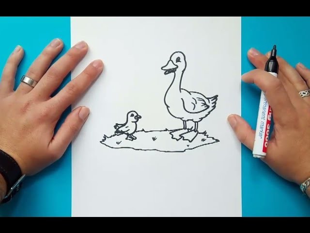 Como dibujar un pato paso a paso 9 | How to draw a duck 9