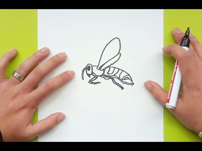 Como dibujar una avispa paso a paso | How to draw a wasp