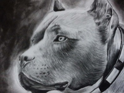 Como dibujo un pitbull a lapiz y lapicero ???? | Drawing a Dog | HD????????